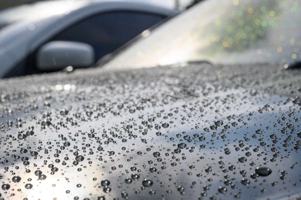 What Makes Hydrophobic Coatings the Best Car Windshield Protectors?