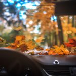 Fall Driving Season